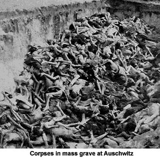 http://infoauschwitz.files.wordpress.com/2010/05/auschwitz-corpses.jpg